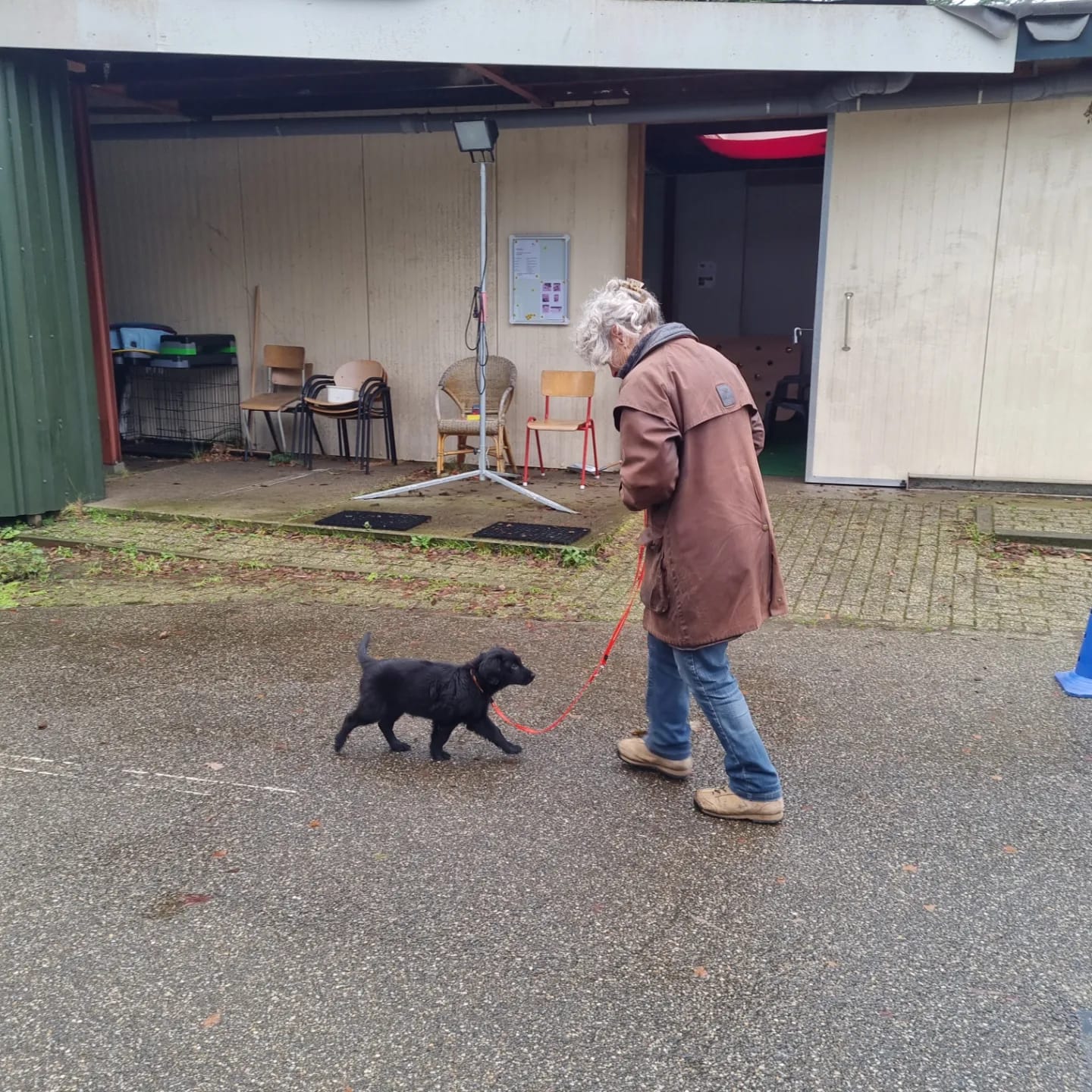 Reviewfoto 11 van ChiCa Hondenschool