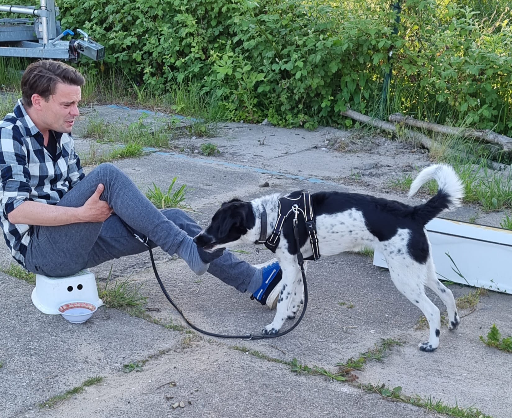 Reviewfoto 2 van ChiCa Hondenschool