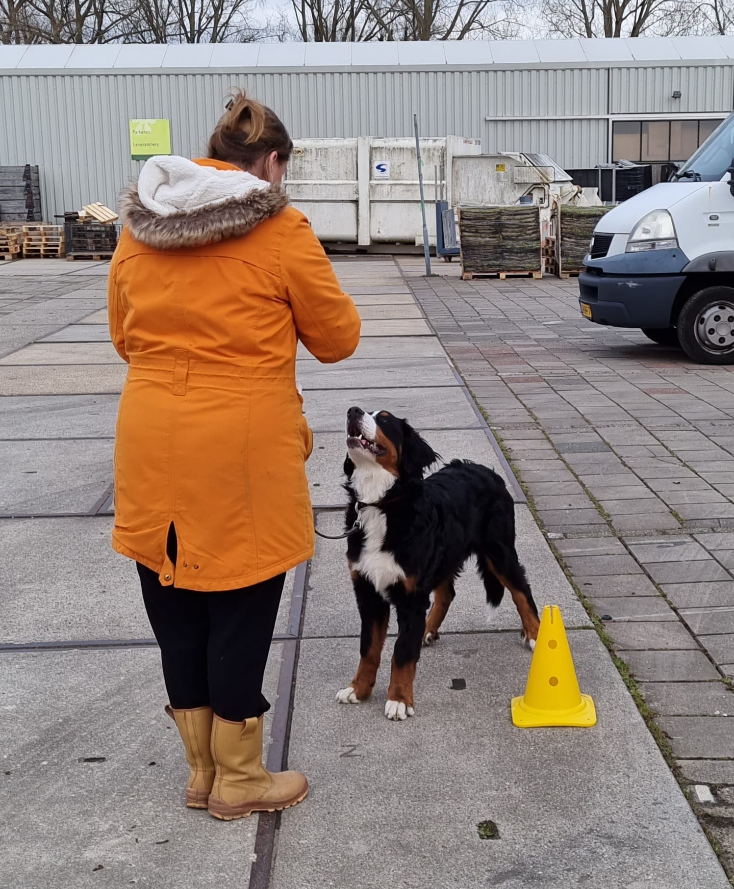 Reviewfoto 5 van ChiCa Hondenschool