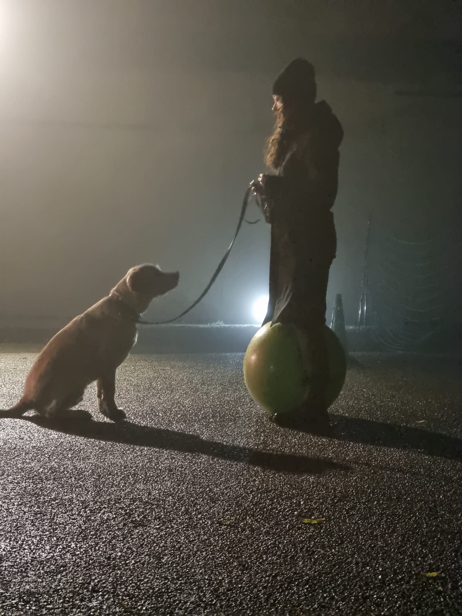 Reviewfoto 9 van ChiCa Hondenschool